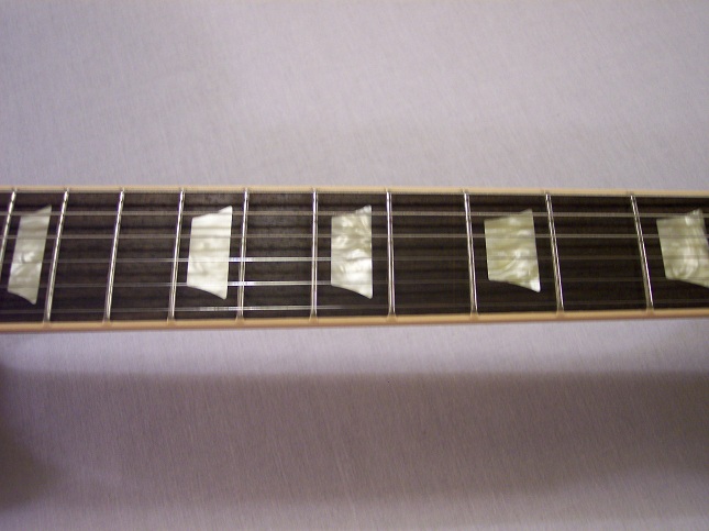Les Paul Standard Traditional Plus Picture 5